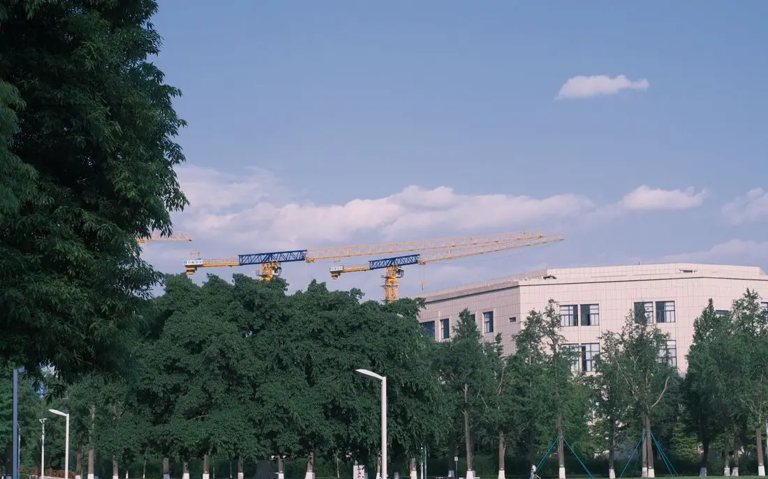 Modern building among trees with tower cranes behind